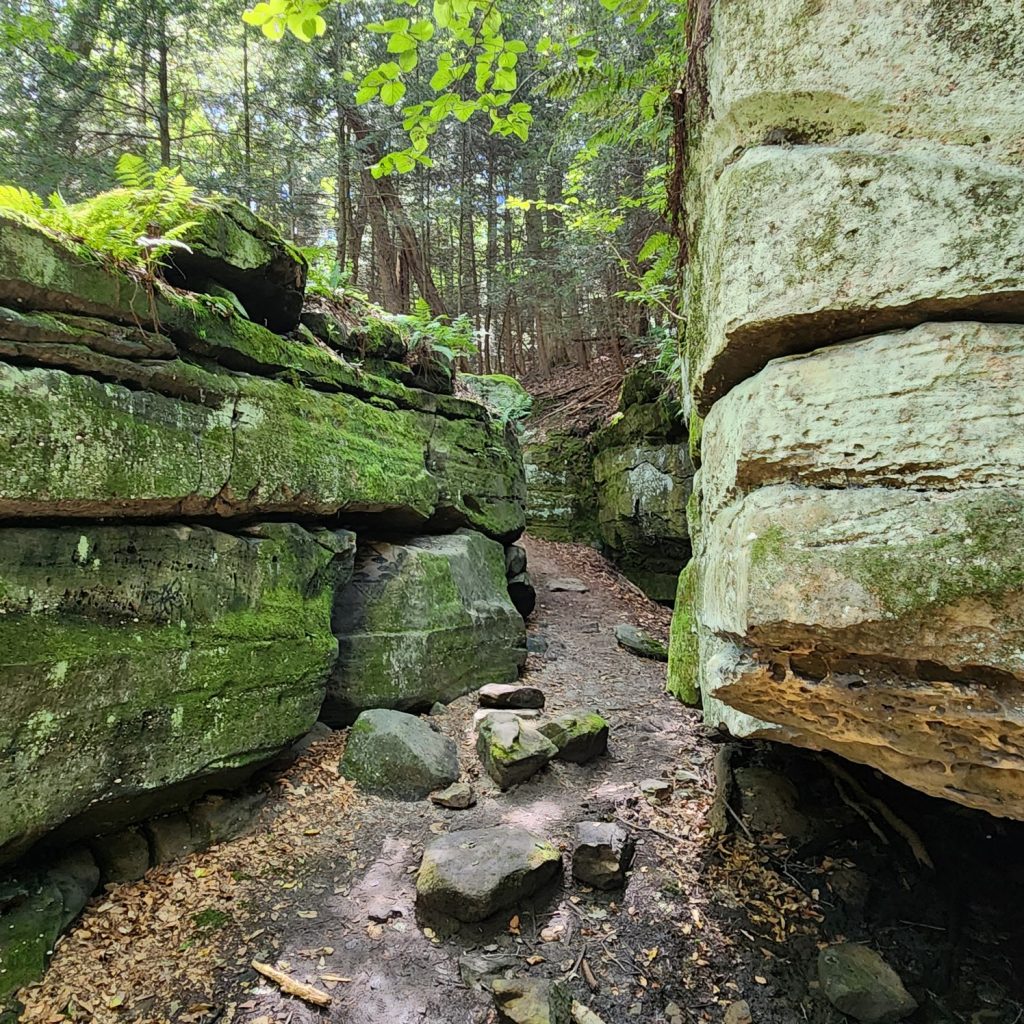 Photo of rocks in the Ledges.
