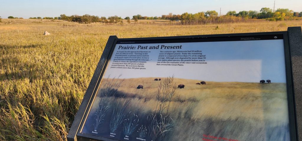 Preserved prairie with more trees than in the past.